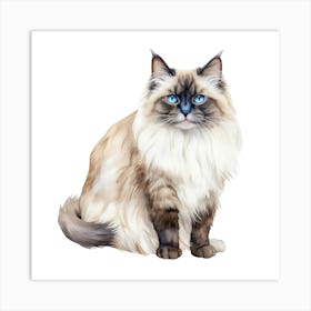 Long Haired Cat Art Print