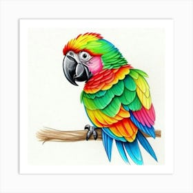 Parrot Art Print