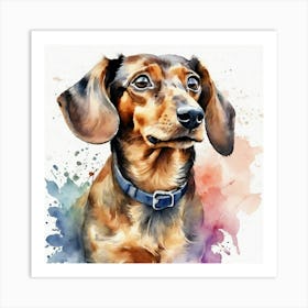 Dachshund Art Print