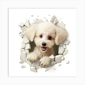 Poodle Peeking Through A Hole Art Print