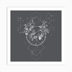 Vintage Platilobium Botanical with Line Motif and Dot Pattern in Ghost Gray Art Print