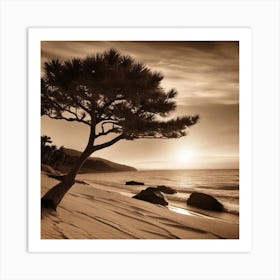 Pine Tree On The Beach Art Print