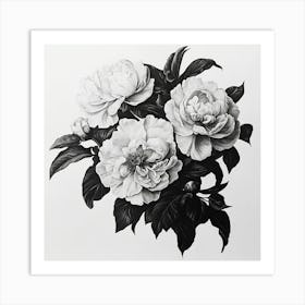 Peonies Art Print