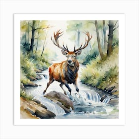 stag startled into stream Art Print