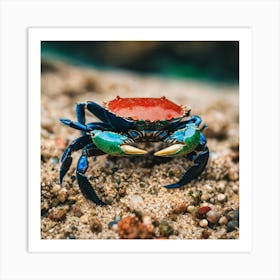 Blue Crab On Sand Art Print