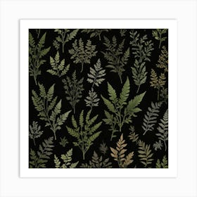 Ferns 1 Art Print