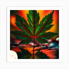 Maple leaf 1 Art Print