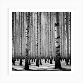 Birch Forest 9 Art Print