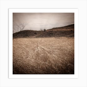 Field Of Memory Art Print