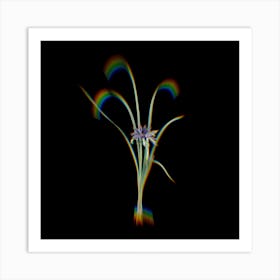 Prism Shift Grass Leaved Iris Botanical Illustration on Black n.0035 Art Print
