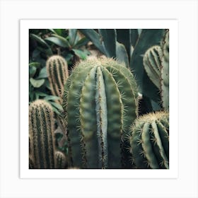 Cactus Plants Art Print