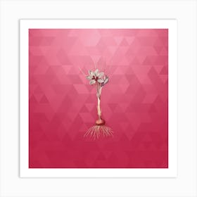 Vintage Crocus Sativus Botanical in Gold on Viva Magenta Art Print