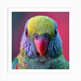 Portrait Of A Parrot 7 Art Print