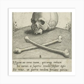 Skull And Bones Art Print