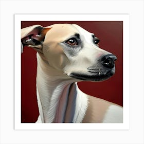 Portrait Of A Whippet Art Print