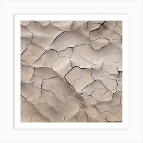 Cracked Sand 4 Art Print