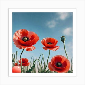 Poppies Art Print