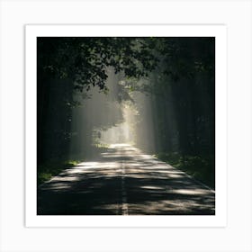 Road In The Woods Art Print