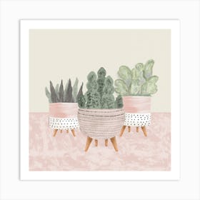 Cute Succulents In Pink Square Art Print