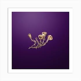 Gold Botanical Gillies Purslane Flower Branch on Royal Purple n.2358 Art Print