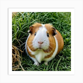 Guinea Pig 3 Art Print