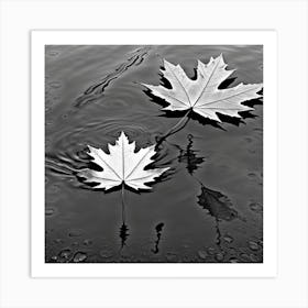 reflections Art Print