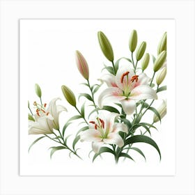 Lilies Art Print