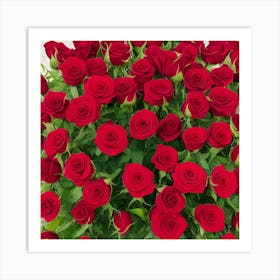 Red Roses Art Print