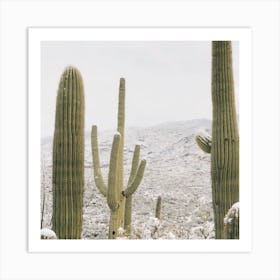 Snow Storm In The Desert Art Print