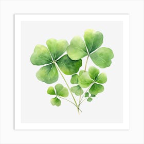 Four Leaf Clover 23 Art Print