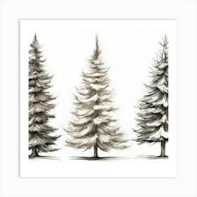 Three Snowy Pine Trees 1 Art Print