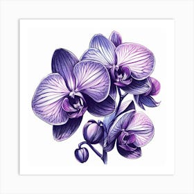 Orchid flower 1 Art Print