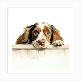 Spaniel Boykin 6 Art Print