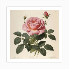 Pink Rose flower plants painting art print Art Print