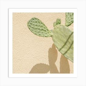 Cacti Shadowplay Square Art Print