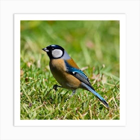 Blue Tit 76 Art Print