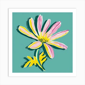 Cineraria 2 Square Flower Illustration Art Print