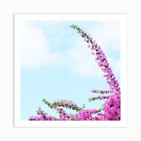 Sky Blossom Art Print