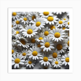 Daisy 6 Art Print