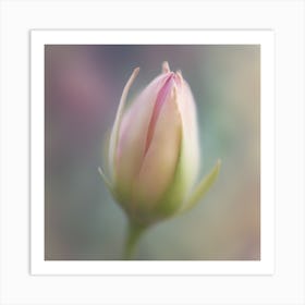 A Close Up Of A Delicate Bird Bud Just Beginning To Bloom, With Soft Petals And Hints Of Vibrant Col (1) Art Print