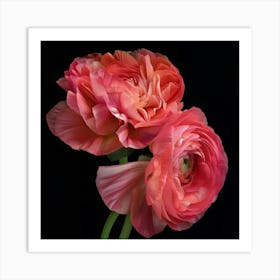 2024 May Poster Pink Peonies 1 Art Print