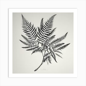 Fern Leaf Print Art Print