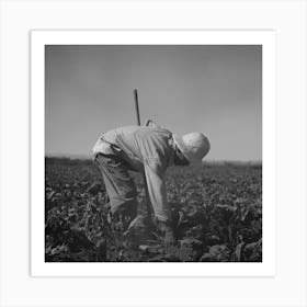 Nyssa, Oregon, Fsa (Farm Security Administration) Mobile Camp, Japanese American Farm Worker By Russell Lee 3 Art Print