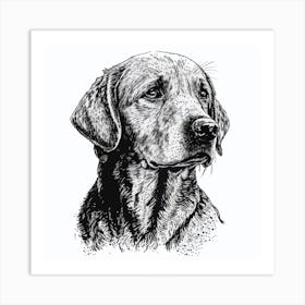 Golden Retriever 1 Art Print