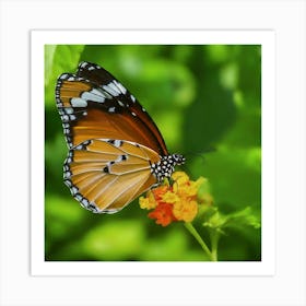 Butterfly - Butterfly Stock Videos & Royalty-Free Footage Art Print