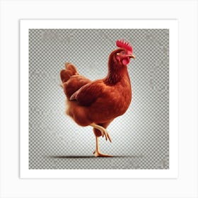 Rooster Isolated On White Background Art Print