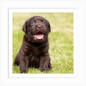 Labrador Retriever Puppy Art Print