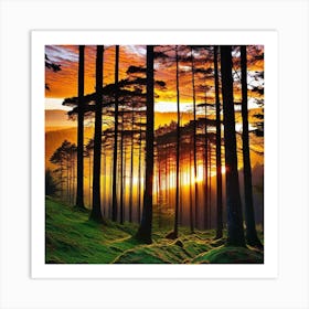 Sunset In The Forest 18 Art Print