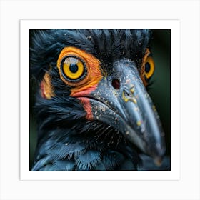 Black Cockatoo Art Print