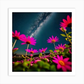 Daisies In The Night Sky Art Print